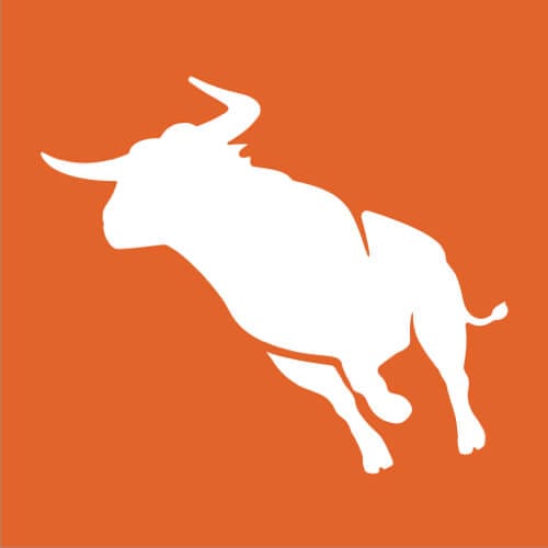 Bullhorn Ventures